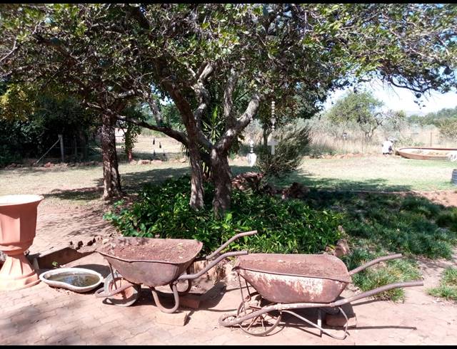 12HA SMALLHOLDING FOR SALE IN GROOTFONTEIN